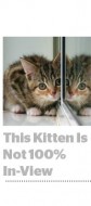 Viewability-Kitten